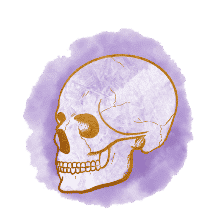 image menu crâne de cristal