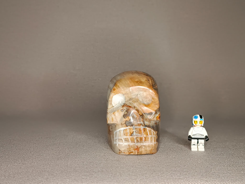 Crâne de cristal en bois silicifié 1,32 kg