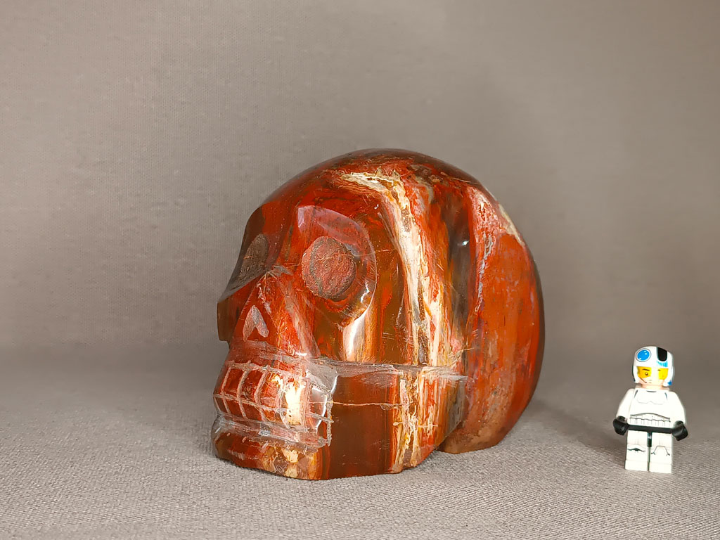 Crâne de cristal en bois silicifié 2,03 kg