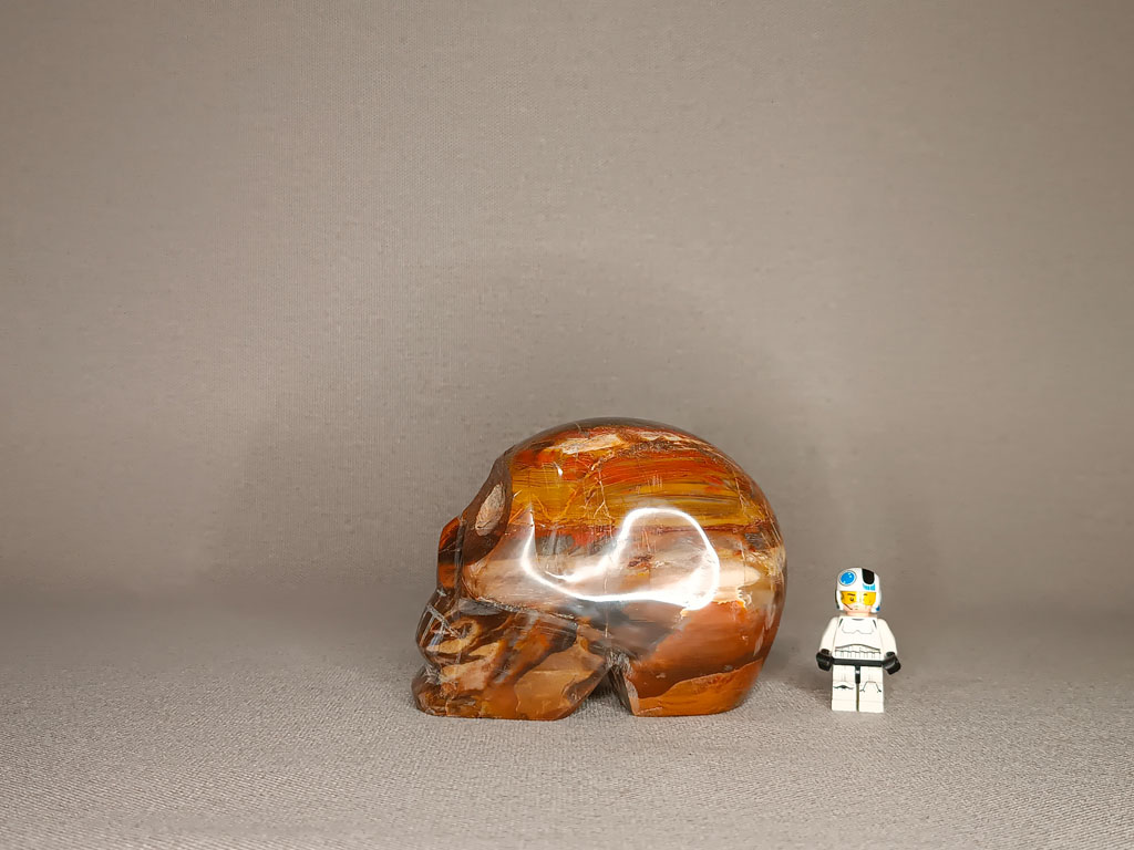 Crâne de cristal en bois silicifié 1,13 kg